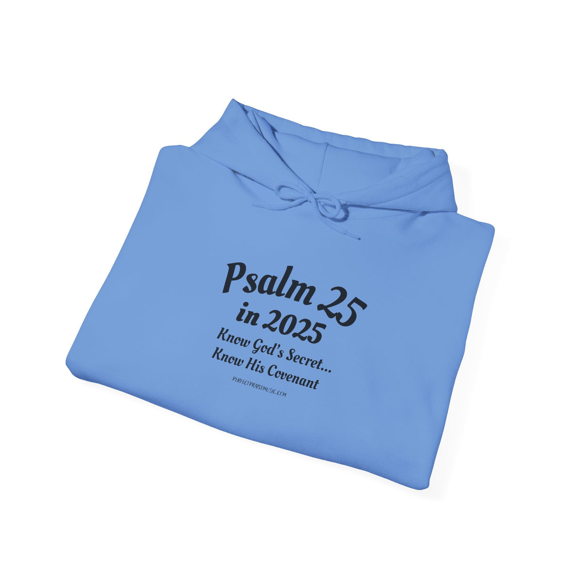 Psalm 25 Hoodie
