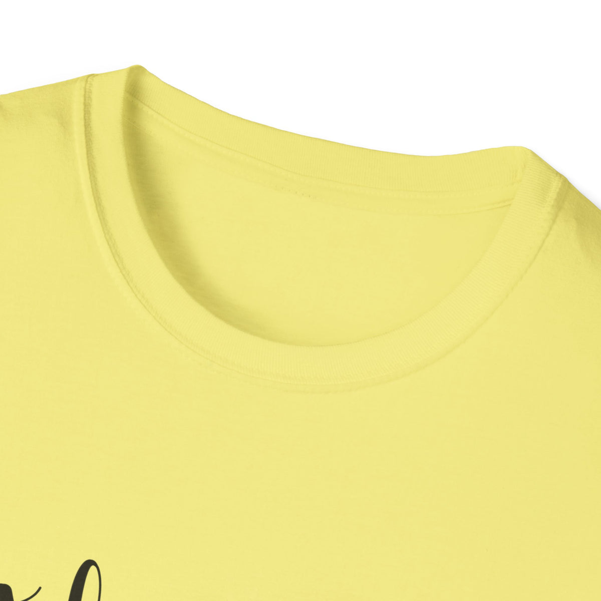 Thankful and Blessed Adult Tee