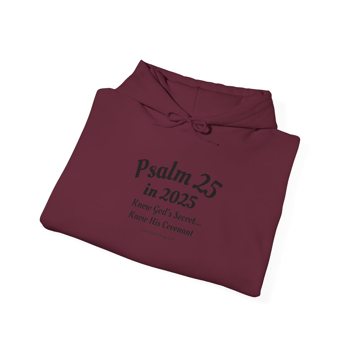 Psalm 25 Hoodie