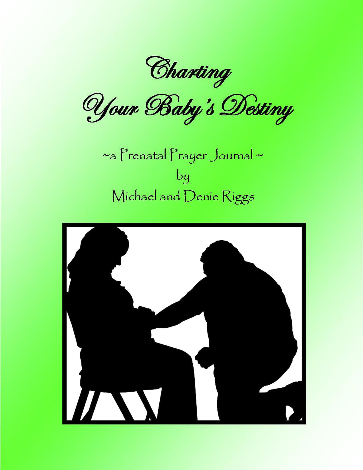 Charting Your Baby&#39;s Destiny , a God-centered prayer journal for your pregnancy.